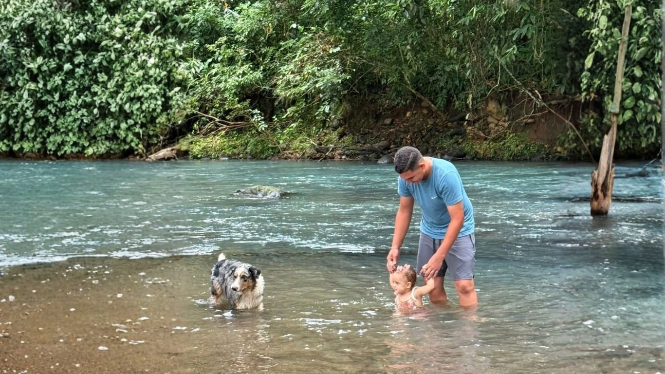 Perro feliz disfrutando del área de camping pet friendly en la naturaleza